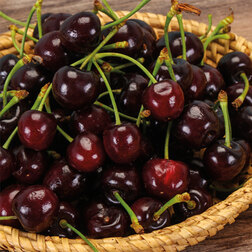 ������ ������ ������� ������ (�������� ������ ���) (� �����)   ����