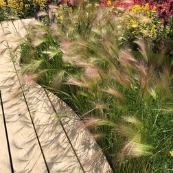 ������ ������ ������ ���������   ����