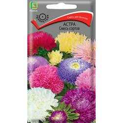 ������ ������ ����� ����� ������   ����