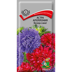 ������ ������ ����� ��������� ������ � �����   ����