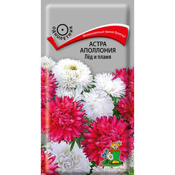 ������ ������ ����� ��������� ˸� � �����   ����