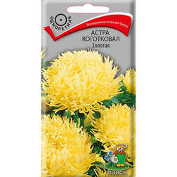 ������ ������ ����� ���������� �������   ����