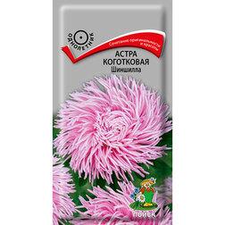 ������ ������ ����� ���������� ��������   ����