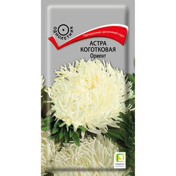 ������ ������ ����� ���������� ������   ����