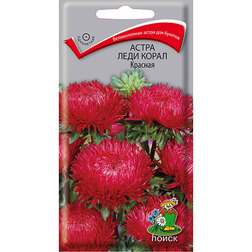 ������ ������ ����� ���� ����� �������   ����