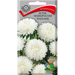 ������ ������ ����� ����������� ����� ����   ����