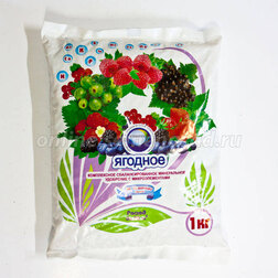 ������ ������ ������ ������� (1��.)   ����