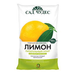 ������ ������ ����� ����� (2,5�) (����)   ����