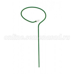 ������ ������ ����� ��� ������ �����   ����