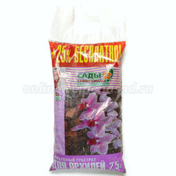 ������ ������ ����� ������� (2,5�.) ������ ����   ����