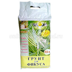 ������ ������ ����� ����� (2,5�.) (������)   ����