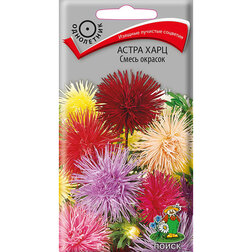 ������ ������ ����� ���� ����� �������   ����