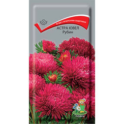 ������ ������ ����� ���� �����   ����