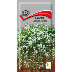 ������ ������ ������ ������� ������   ����