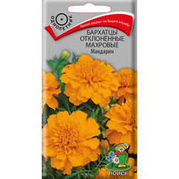 ������ ������ �������� ����������� �������� ��������   ����