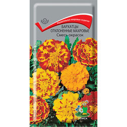 ������ ������ �������� ����������� �������� ����� �������   ����