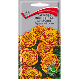 ������ ������ �������� ����������� �������� ����������� ������   ����