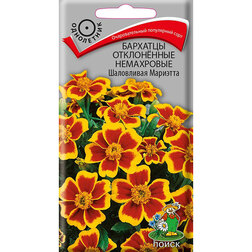 ������ ������ �������� ����������� ���������� ���������� ��������   ����