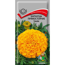 ������ ������ �������� ������   ����