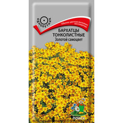 ������ ������ �������� ������������ ������� ��������   ����