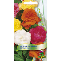 ������ ������ ������� ��������� ����������� �������   ����