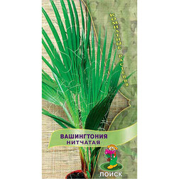 ������ ������ ����������� �������� (���� ������. �� ����� 2024 �)   ����