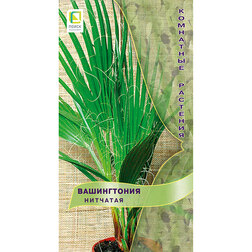 ������ ������ ����������� ��������   ����