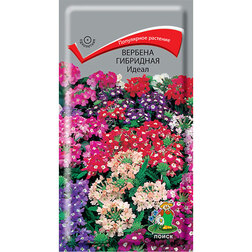 ������ ������ ������� ��������� �����   ����