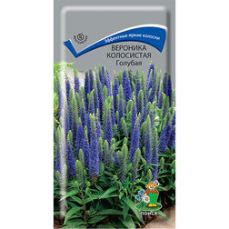 ������ ������ �������� ���������� �������   ����