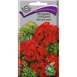 ������ ������ �������� �������� ���� ���������   ����