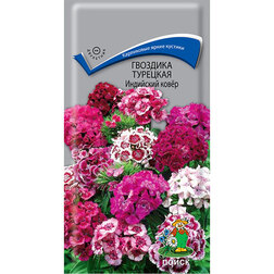 ������ ������ �������� �������� ��������� ����   ����