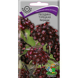 ������ ������ �������� �������� ���������   ����