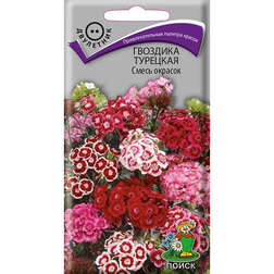 ������ ������ �������� �������� ����� �������   ����