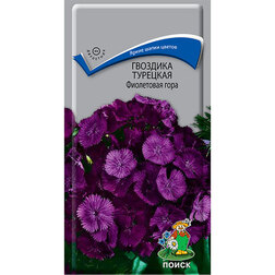 ������ ������ �������� �������� ���������� ����   ����