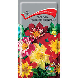 ������ ������ �������� ��������� ����� ����   ����