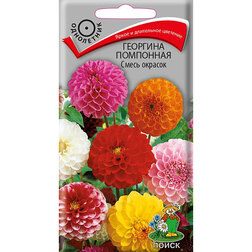 ������ ������ �������� ��������� ����� �������   ����