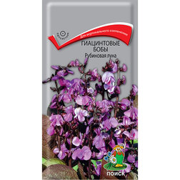 ������ ������ ����������� ���� ��������� ����   ����