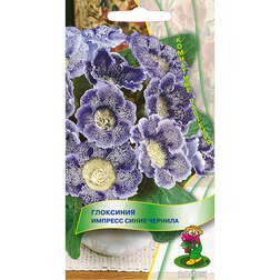 ������ ������ ��������� ������� ����� �������   ����