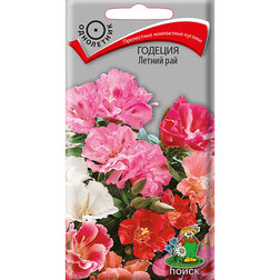 ������ ������ ������� ������ ���   ����