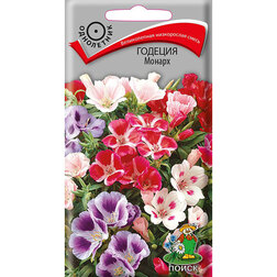 ������ ������ ������� ������   ����