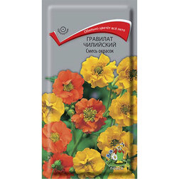 ������ ������ �������� ��������� ����� �������   ����