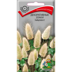 ������ ������ ������������ ����� ����������   ����