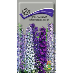 ������ ������ ���������� ���������� ����� �������   ����