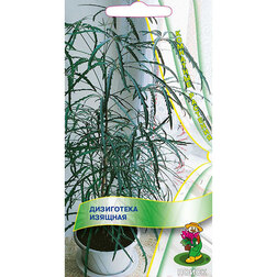 ������ ������ ������ ���������� (�������)   ����