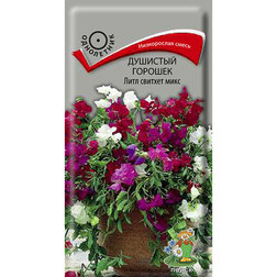 ������ ������ �������� ������� ���� ������� ����   ����