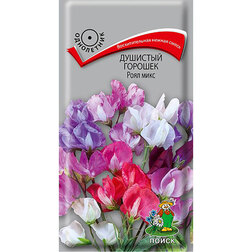 ������ ������ �������� ������� ����� ����   ����