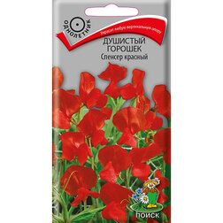 ������ ������ �������� ������� ������� �������   ����