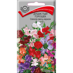 ������ ������ �������� ������� ������� ����� �������   ����