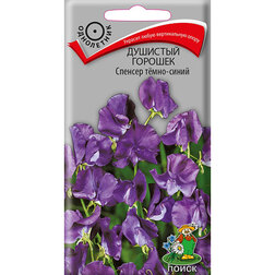 ������ ������ �������� ������� ������� ����-�����   ����