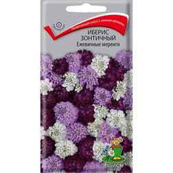 ������ ������ ������ ��������� ��������� �������   ����